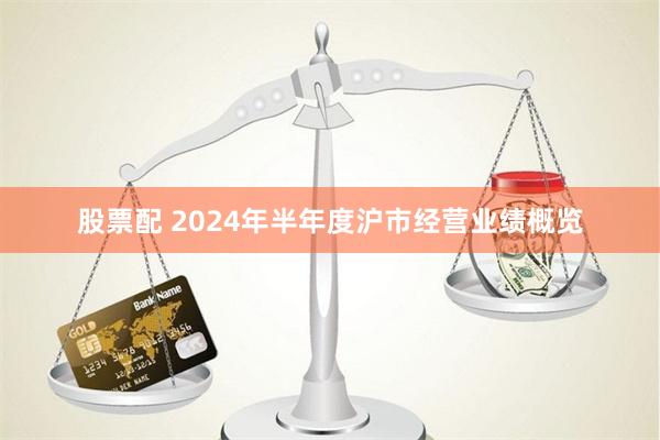 股票配 2024年半年度沪市经营业绩概览