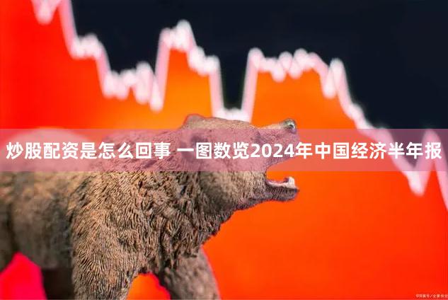 炒股配资是怎么回事 一图数览2024年中国经济半年报