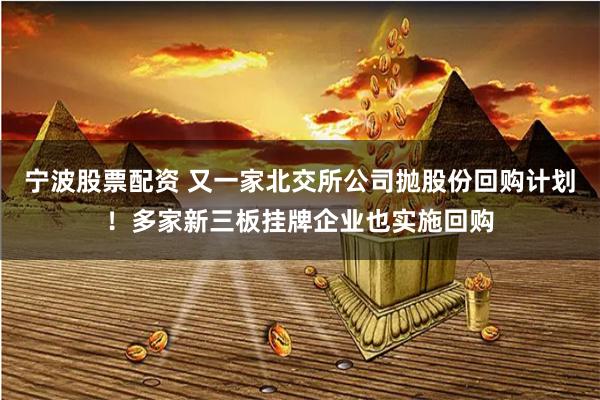 宁波股票配资 又一家北交所公司抛股份回购计划！多家新三板挂牌企业也实施回购