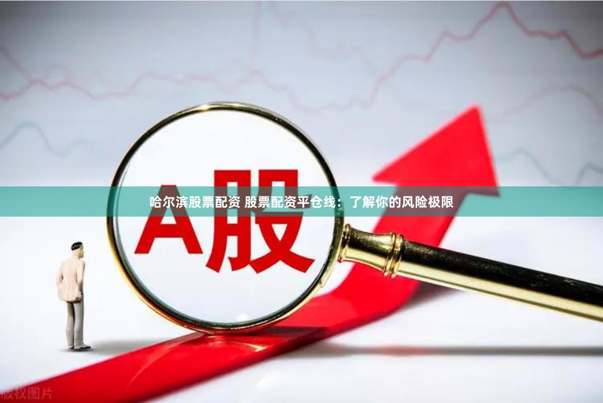 哈尔滨股票配资 股票配资平仓线：了解你的风险极限